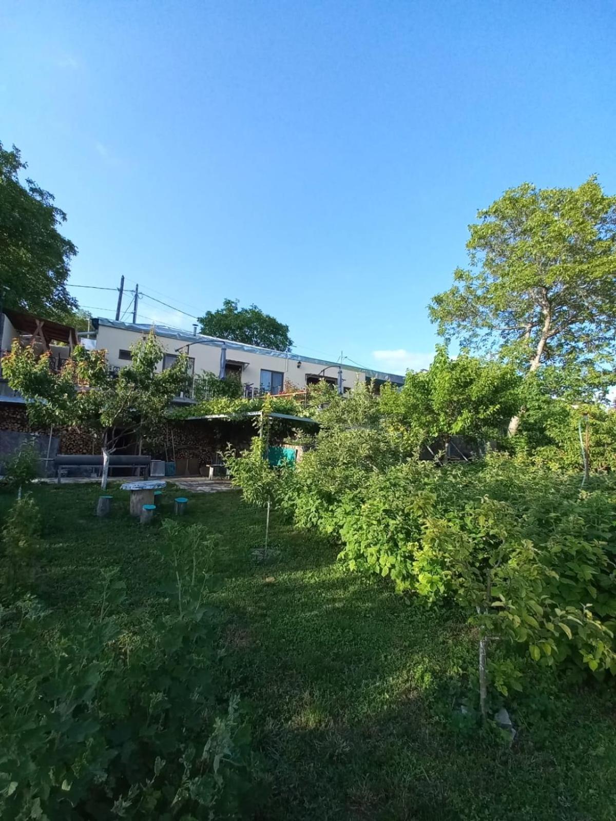 Ana-Maria Bnb Tat'ev Exterior photo